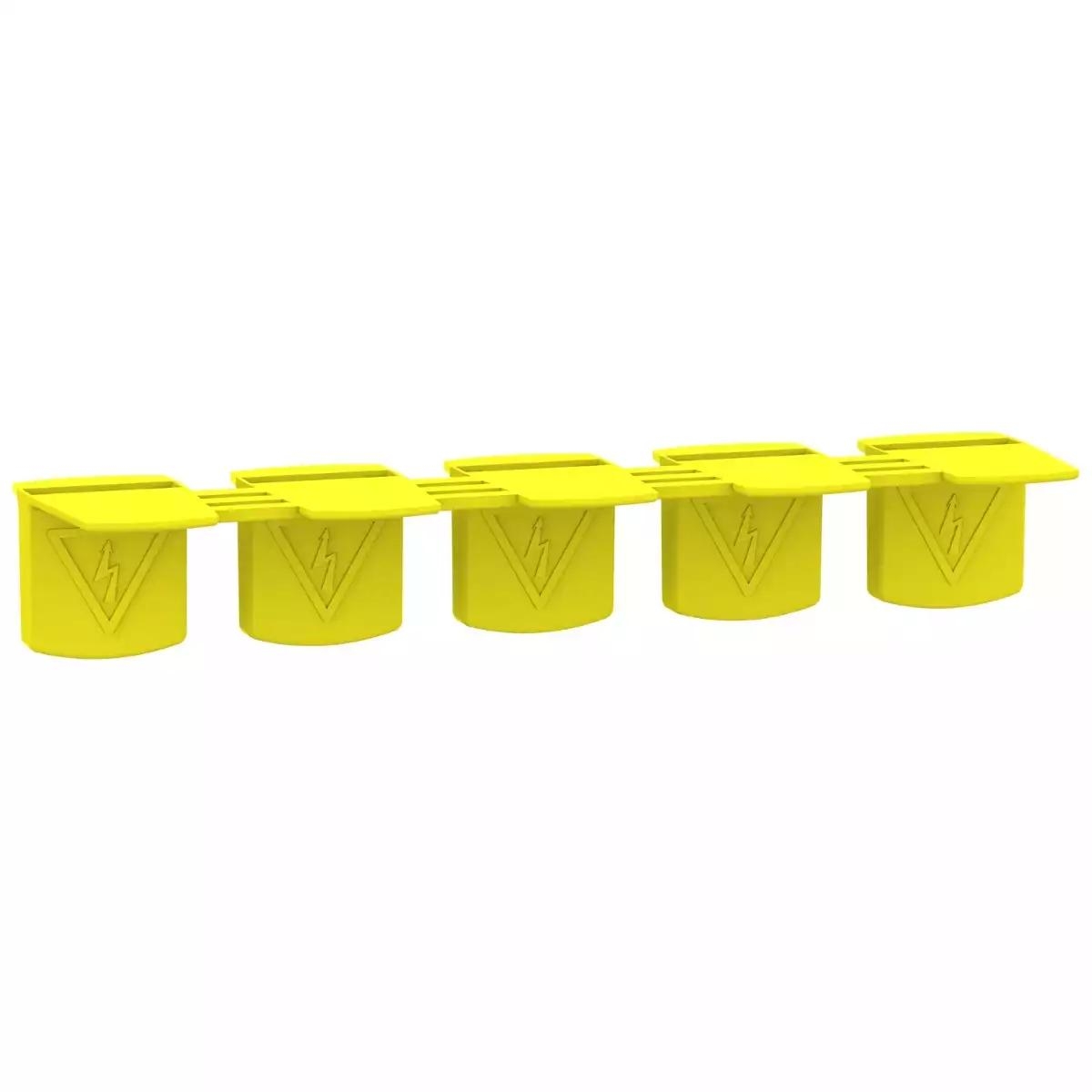 SET OF 20 TOOTH CAPS