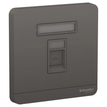 1G S Keystone Wallplate (w/o Mod)  DG