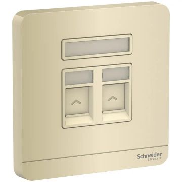 2G S Keystone Wallplate (w/o Mod)  WG