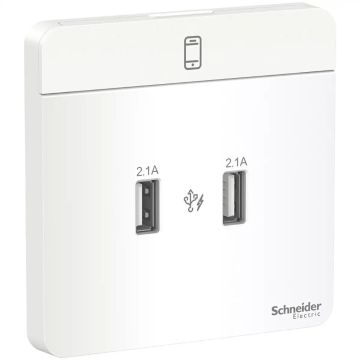 2 x 2.1A USB Charger, WE