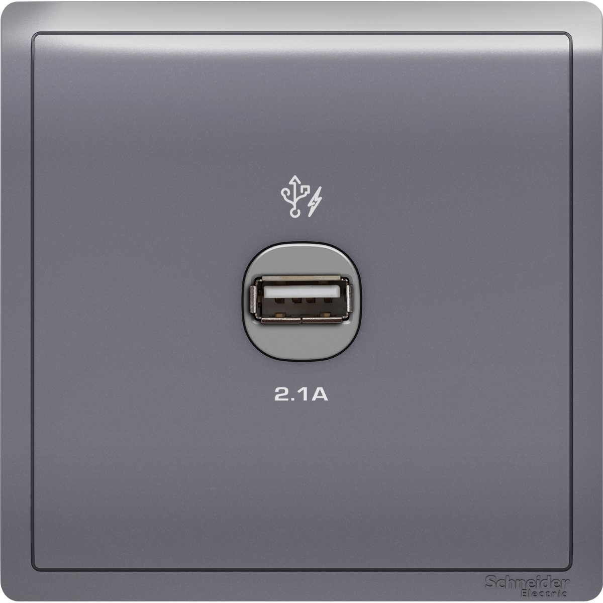 Pieno - 1 x 2.1A USB Charger - Lavender Silver