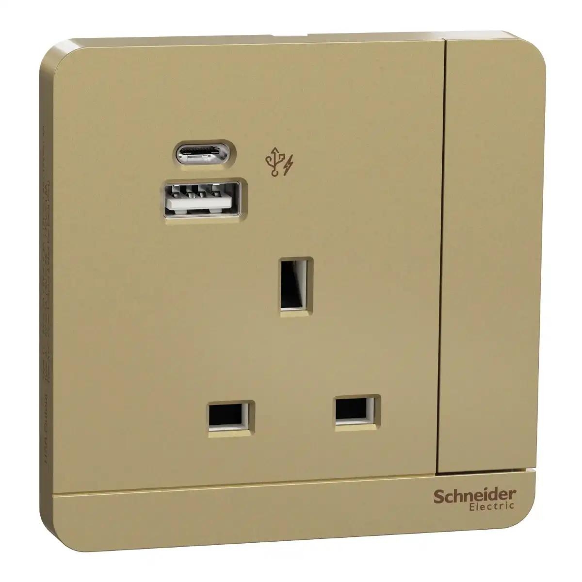 13A 1G DP Sw Socket w 2USB