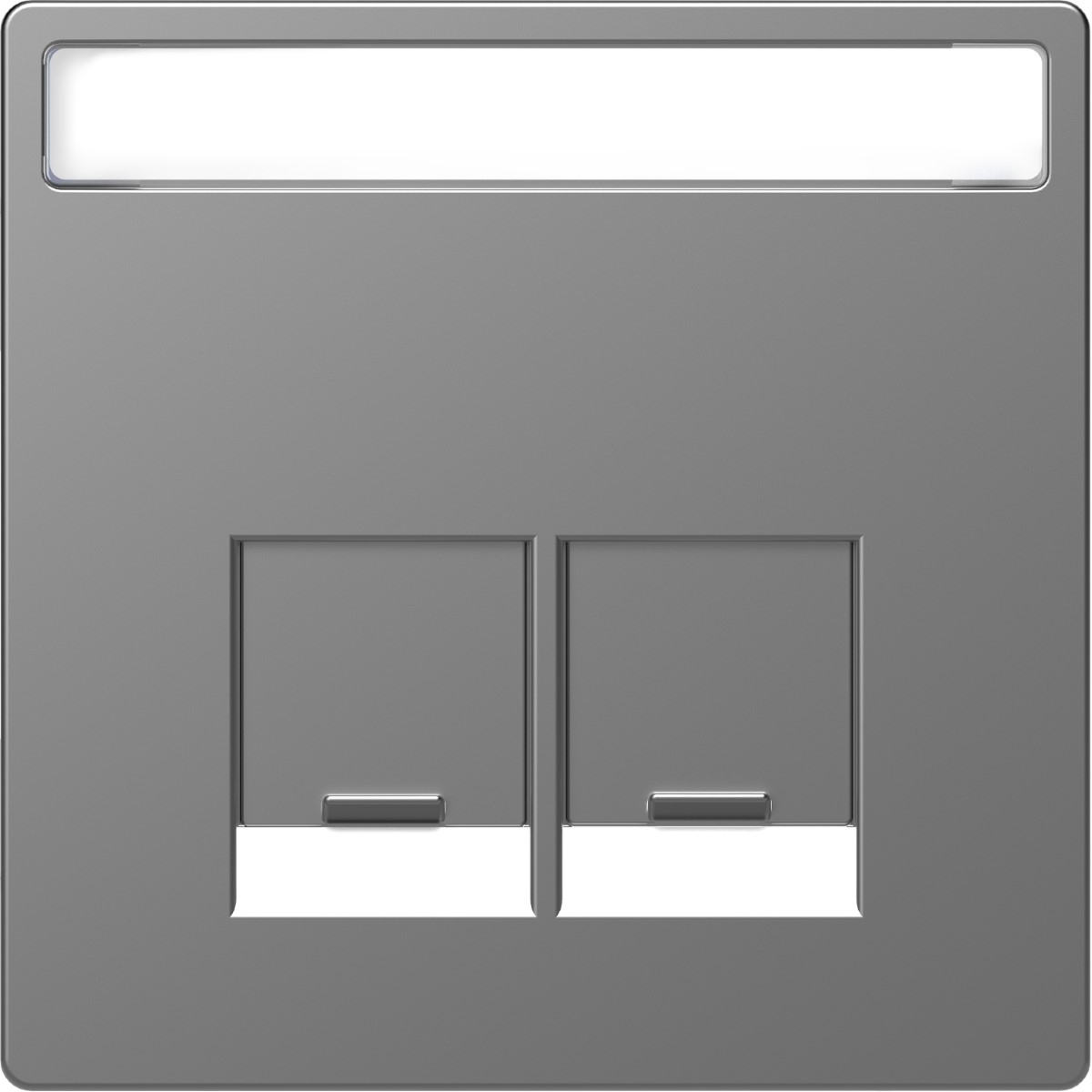 Cen.pl. 2-gng w. labeling field f. Schneider Electric RJ45-Connctr. ss.Sys.Des.